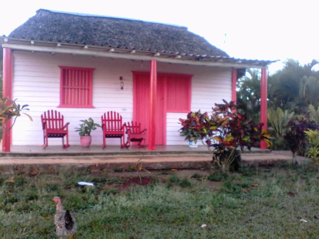 a house with chairs and a chicken in front of it at Cabaña Belkys y Omar in Pinar del Río