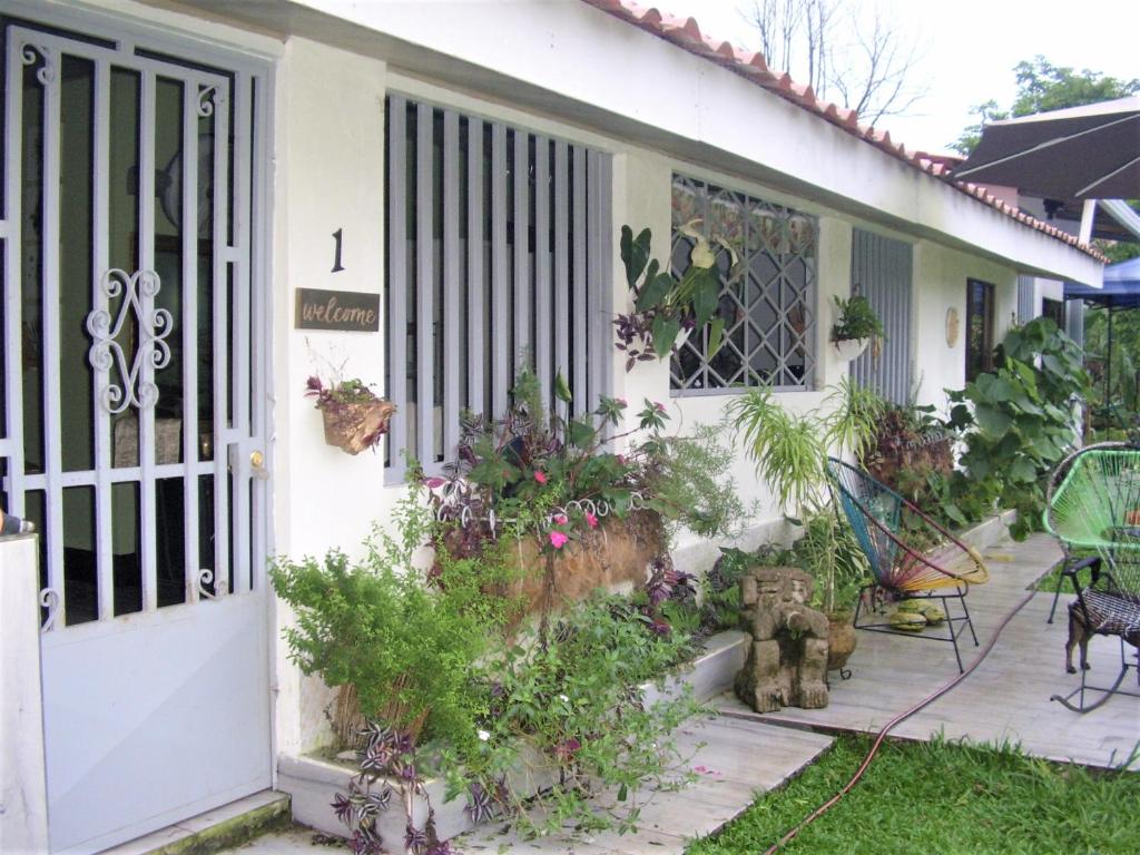 Zahrada ubytování Casa Sophia 3 listings Apartment 1 or Apartment 2 separately or Apt 1 and 2 together all with FO internet