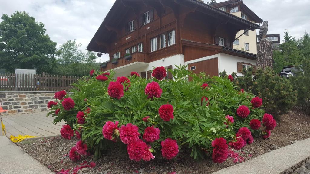 Zahrada ubytování Chalet Waldperle