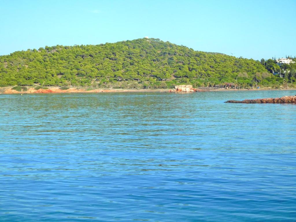 Fotografia z galérie ubytovania Kavouri beach house just 6 minutes walk to Kavouri beach v Aténach