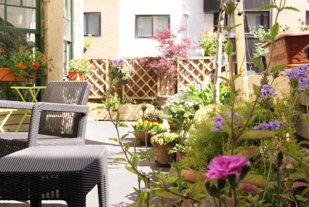 Vonkajšia záhrada v ubytovaní Aloha Hostel