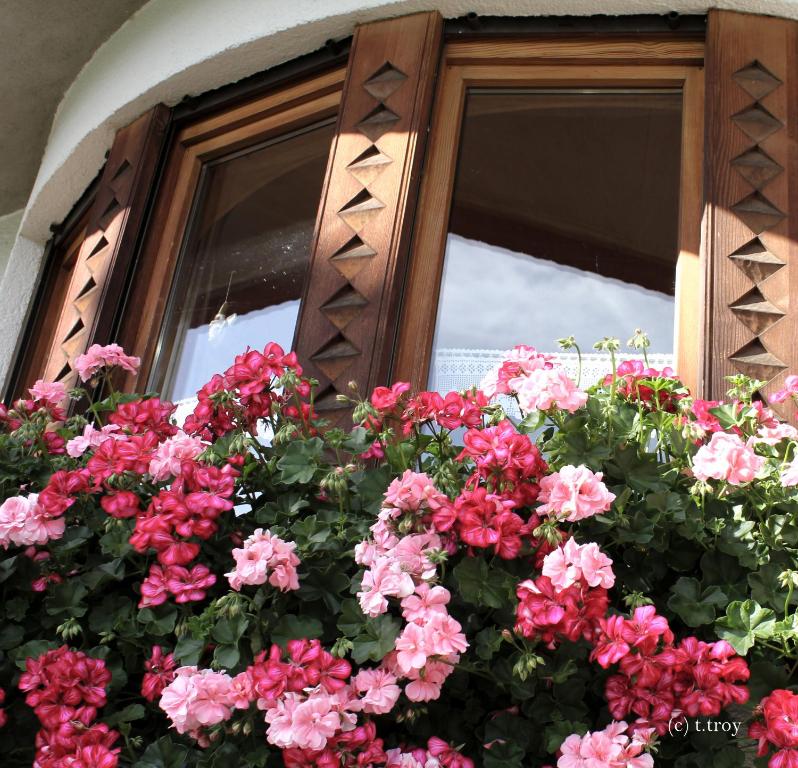 Zahrada ubytování Ferienhaus Troy