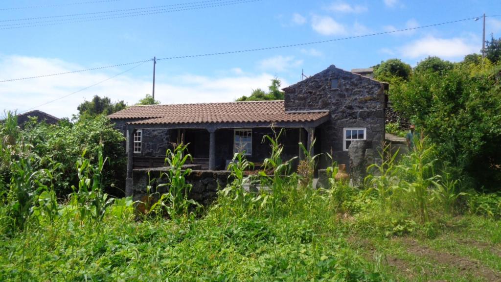 una vieja casa de piedra en medio de un campo en Casa da Alícia, en Feiteira