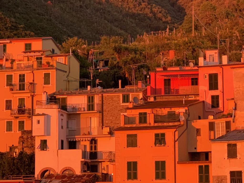 a group of buildings on a hill with trees at Affittacamere Le Terrazze in Corniglia