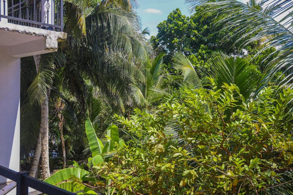 Zahrada ubytování Tinara River Inn, Weligama