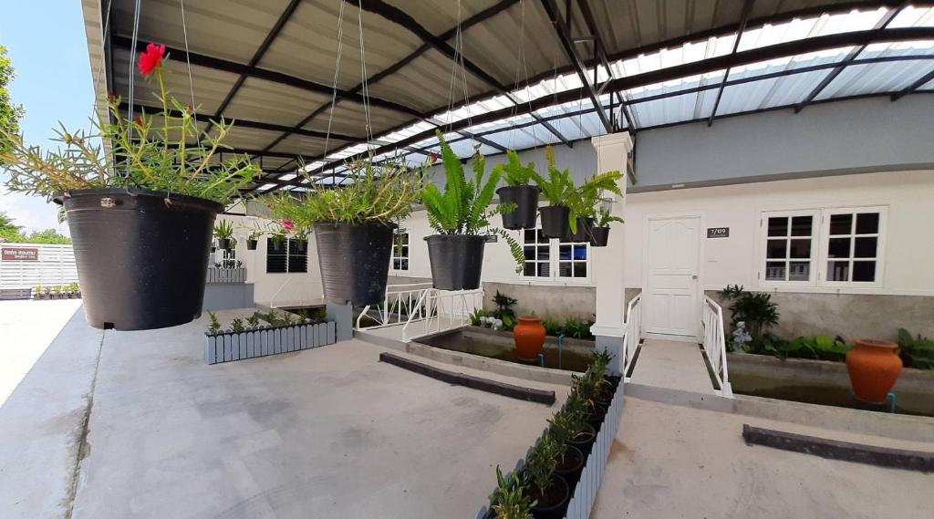 Zahrada ubytování Fancy Carp Resort Hua-Hin