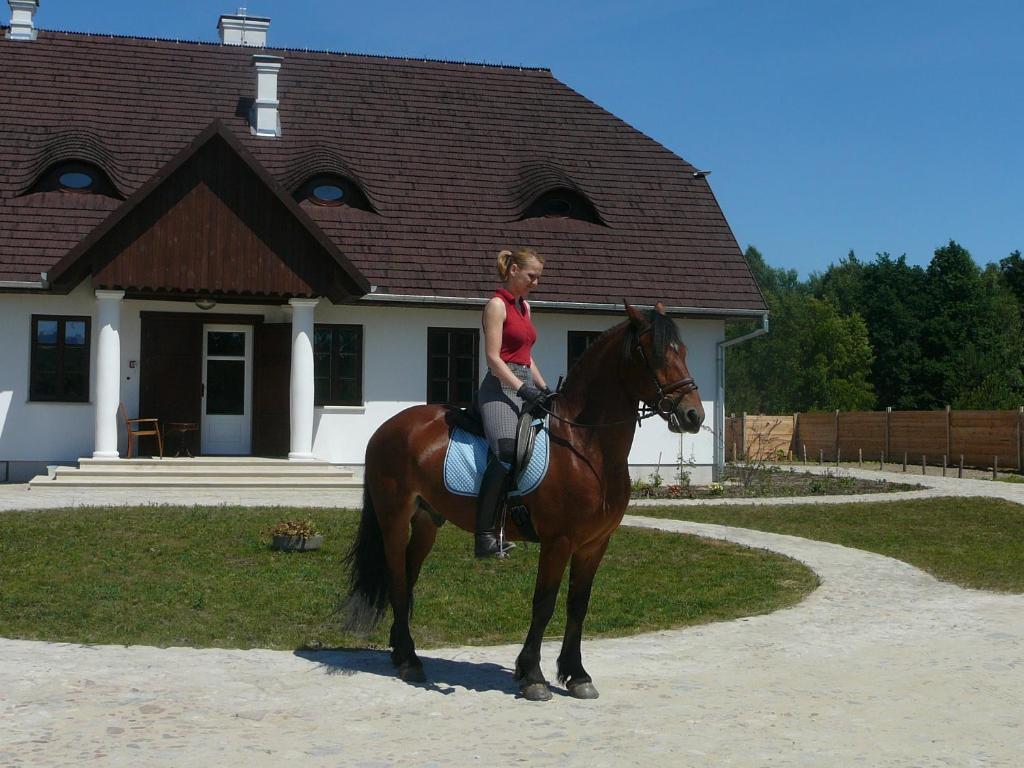 Jazda na koni pri farme alebo okolí