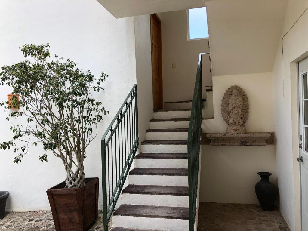 Fotografie z fotogalerie ubytování CHIFLON VILLAS v destinaci La Manzanilla de la Paz