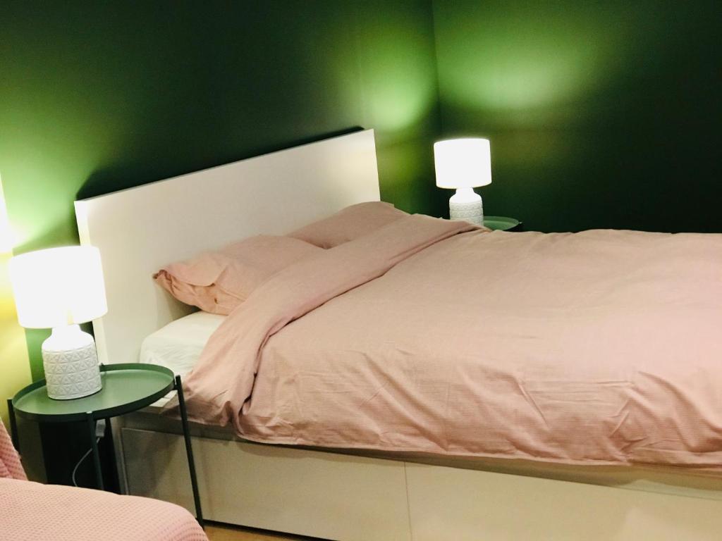 a green bedroom with a bed with two lamps at Fly in fly out in Mārupe