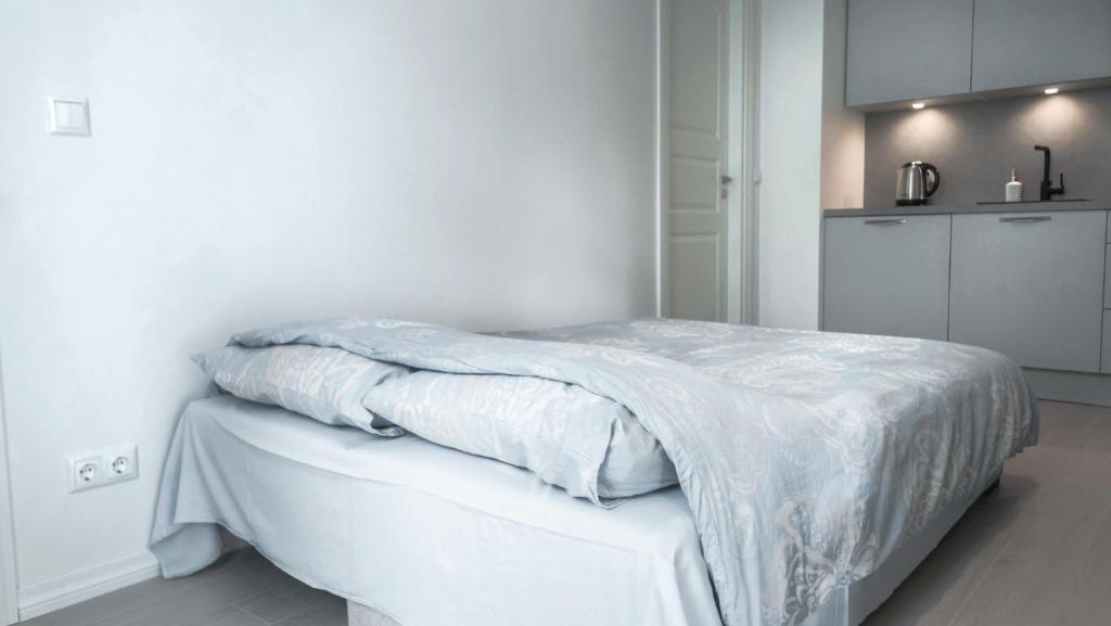 Kalamehe Modern Apartment 1 near City center - Appartement