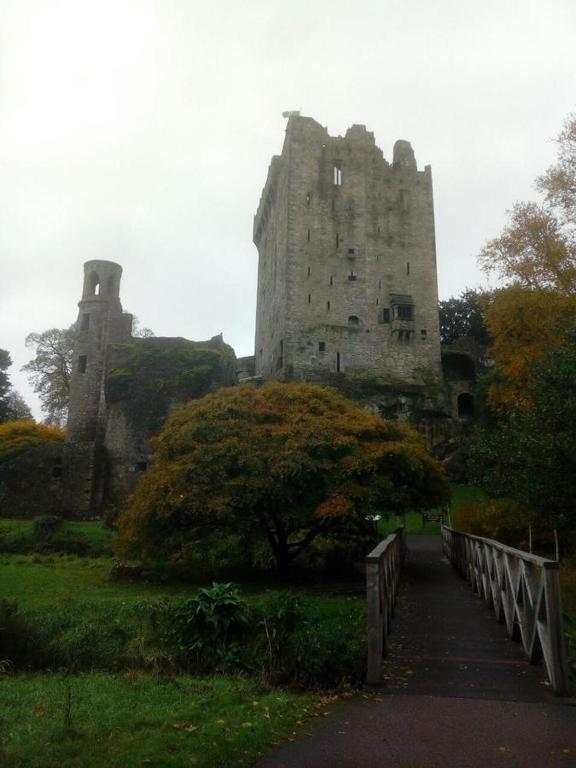 Fotografie z fotogalerie ubytování Foxhollow House v destinaci Blarney