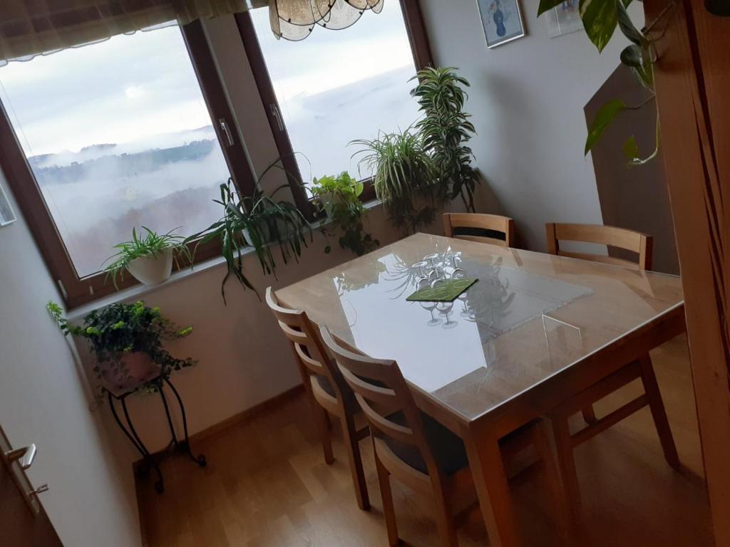 Fotografie z fotogalerie ubytování Obstbau und Gästezimmer Stani v destinaci Kitzeck im Sausal