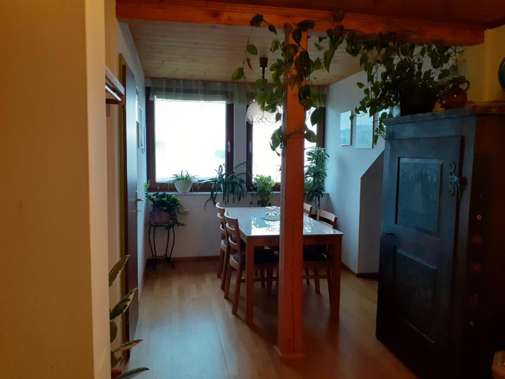 Fotografie z fotogalerie ubytování Obstbau und Gästezimmer Stani v destinaci Kitzeck im Sausal