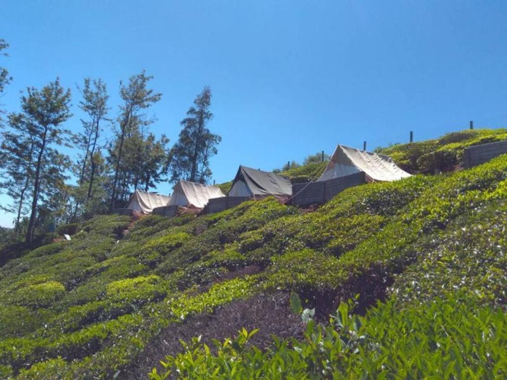 um grupo de casas numa colina relvada em Swiss Tents in Ooty, Tn em Ooty