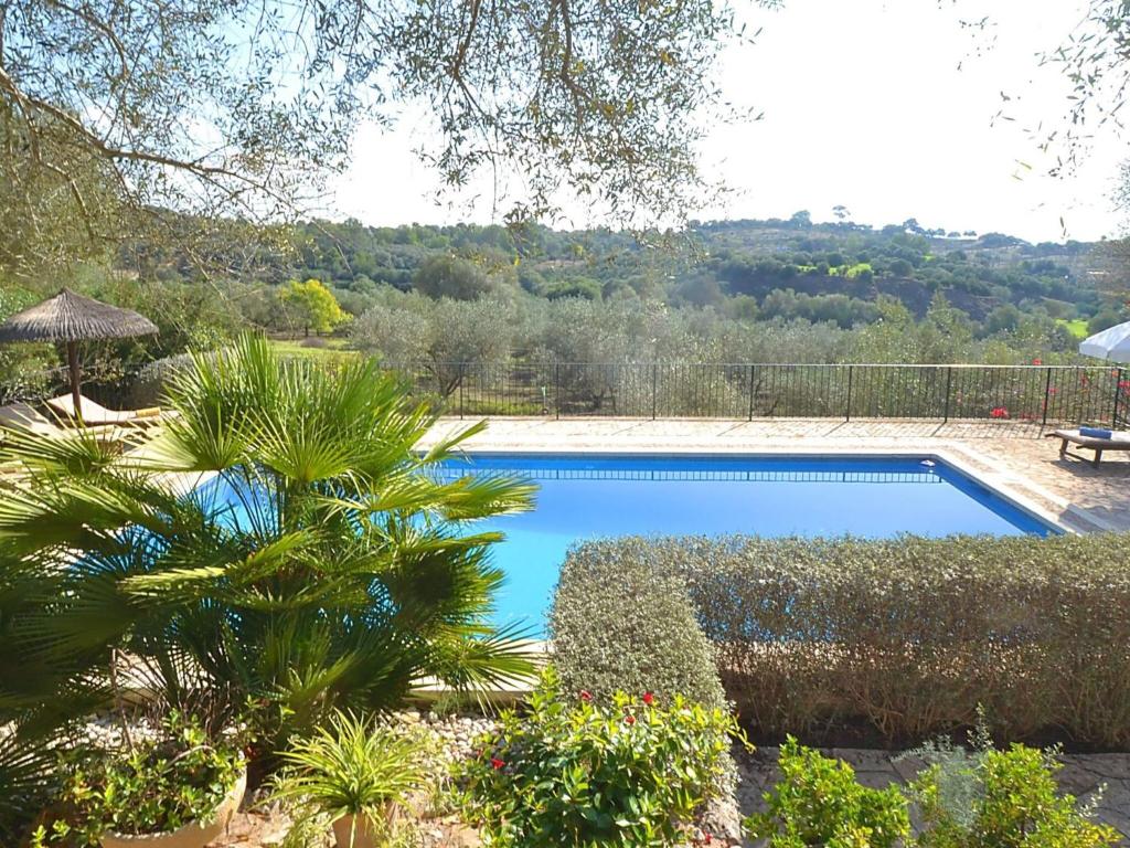 Beautiful house with ponies and private pool with panoramic viewsの敷地内または近くにあるプール