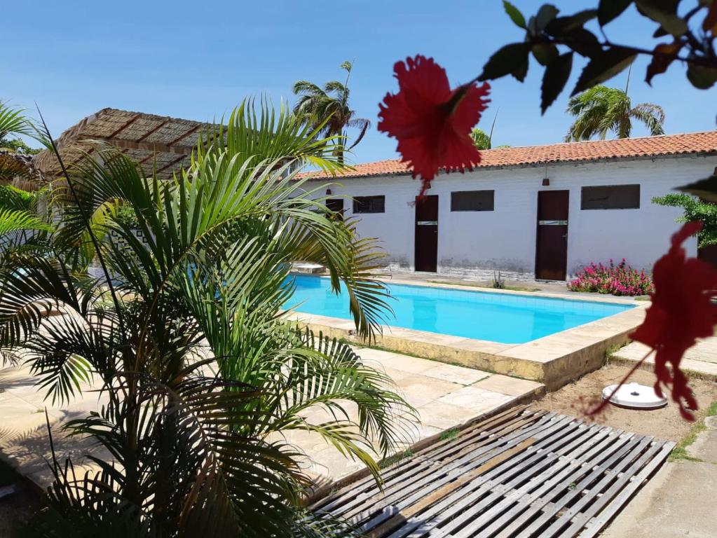 a house with a pool and a palm tree at Pousada Mundaú in Mundaú