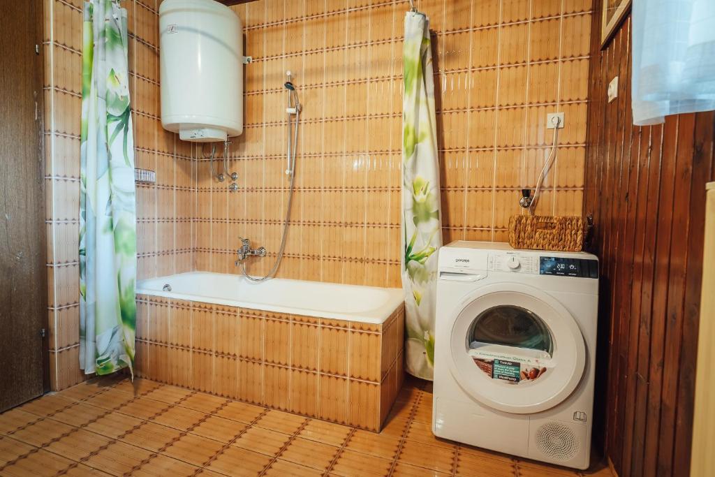 Koupelna v ubytování Apartma BOROVC