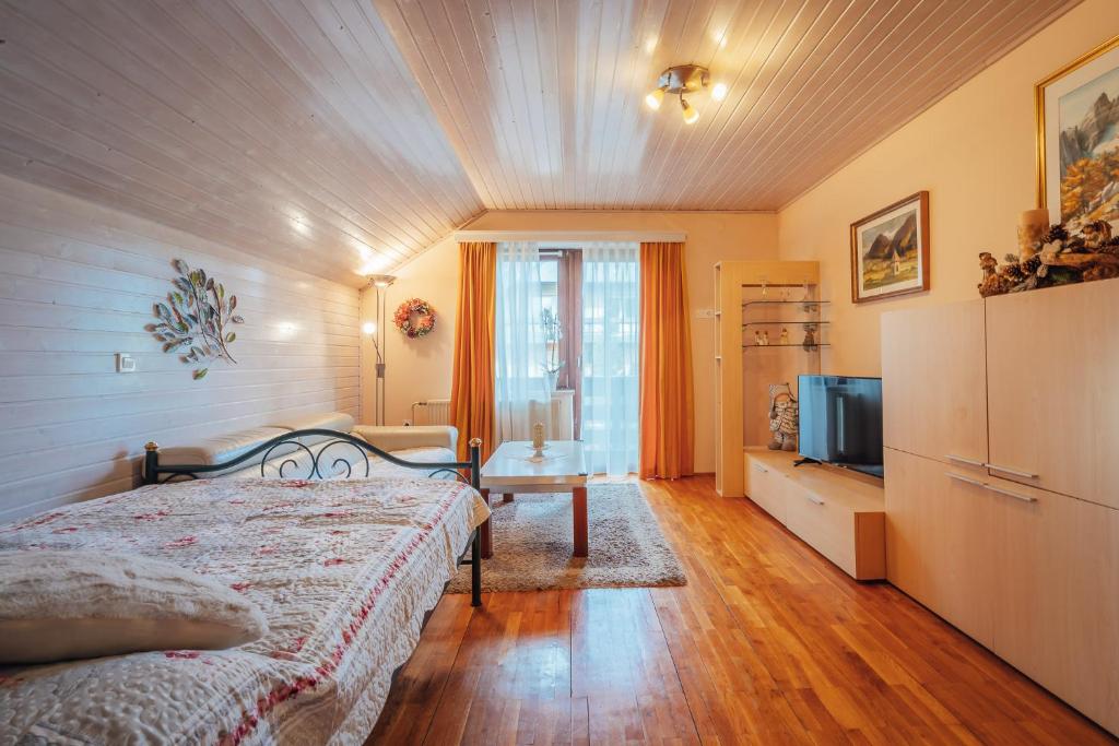 TV a/nebo společenská místnost v ubytování Apartma BOROVC