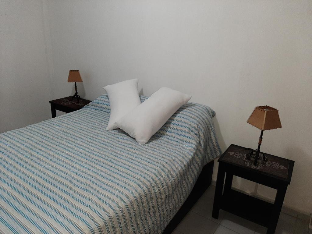 福爾摩沙的住宿－TODO EL CENTRO A TUS PIES，一间卧室配有一张带两个枕头的床