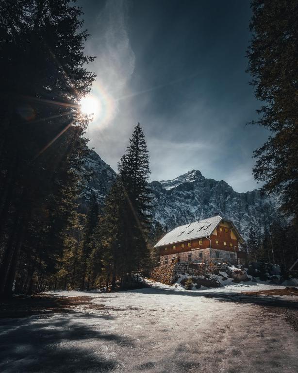 Příroda nedaleko apartmánu