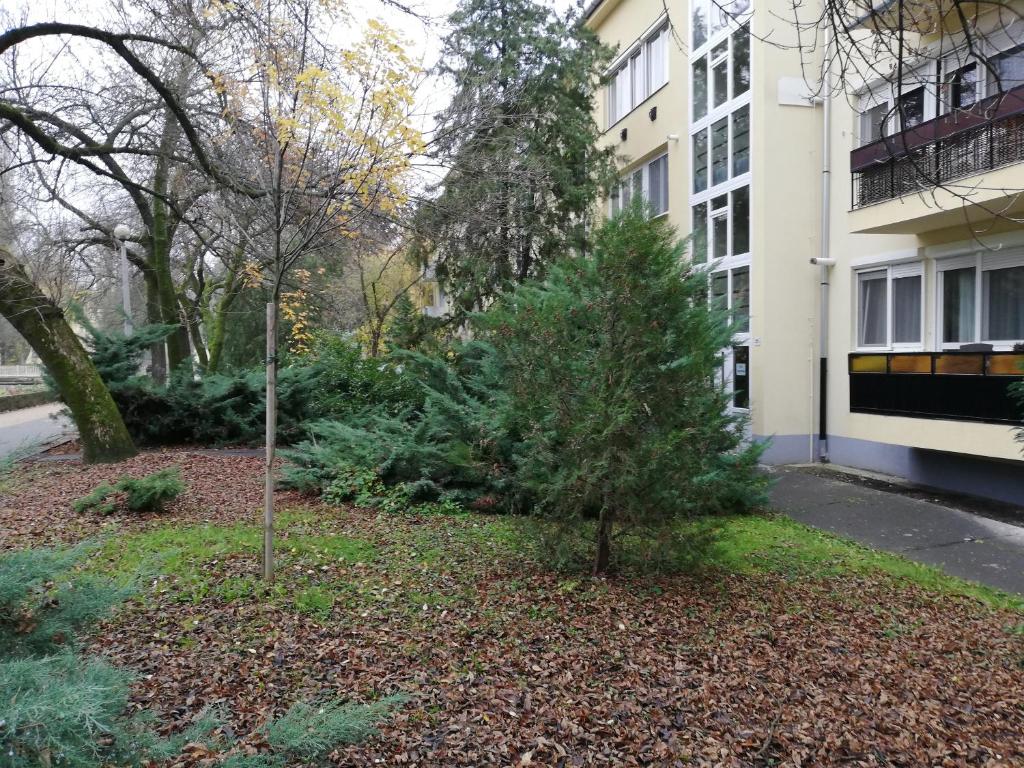 uma árvore de Natal num quintal em frente a um edifício em Tulip Family Apartments em Eger