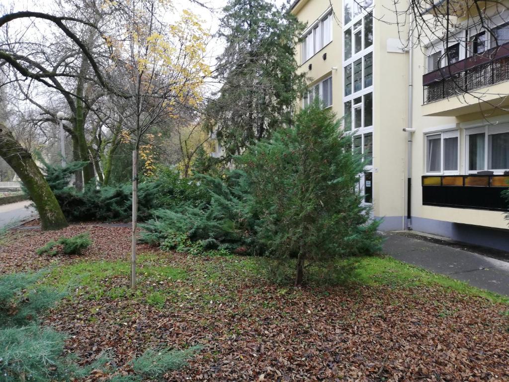 Vonkajšia záhrada v ubytovaní Tulip Family Apartments