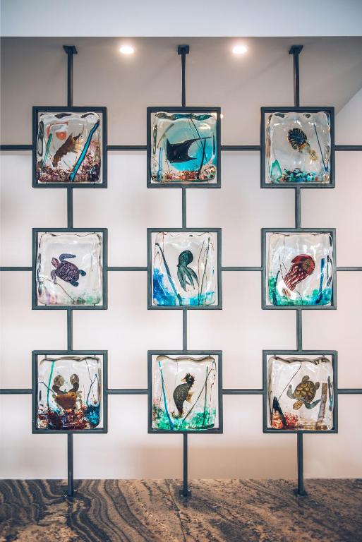 a display of framed pictures of birds in a wall at Iberostar Waves Slavija in Budva
