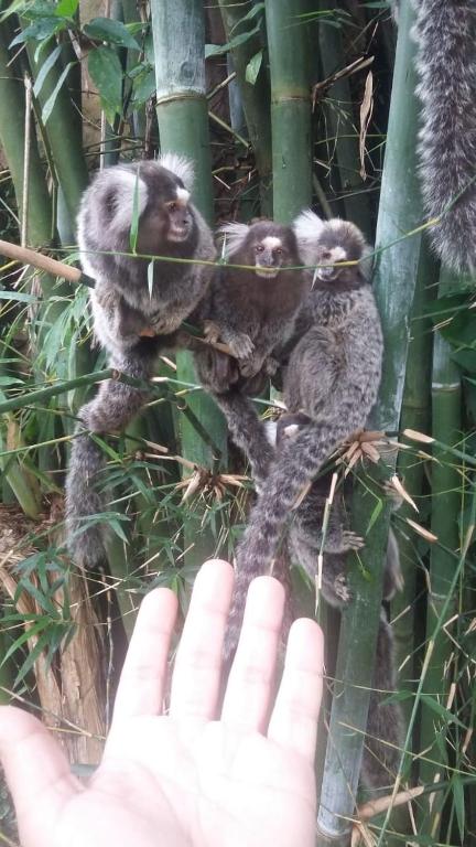  Pousada Toca do Robalo