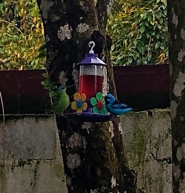  Pousada Toca do Robalo