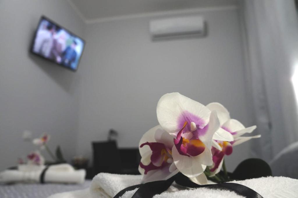 TV a/nebo společenská místnost v ubytování B&B Agrigento da Tony Palermo