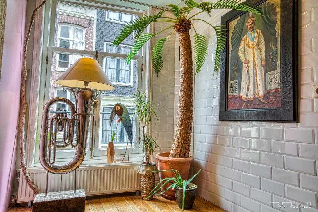 Attic Monkeys Lodge في أمستردام: غرفة بها نخلتين ونافذة