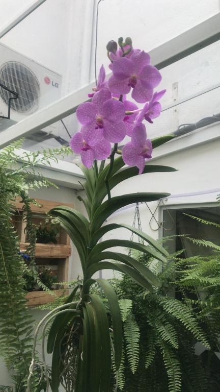  Augusta Jardins Home