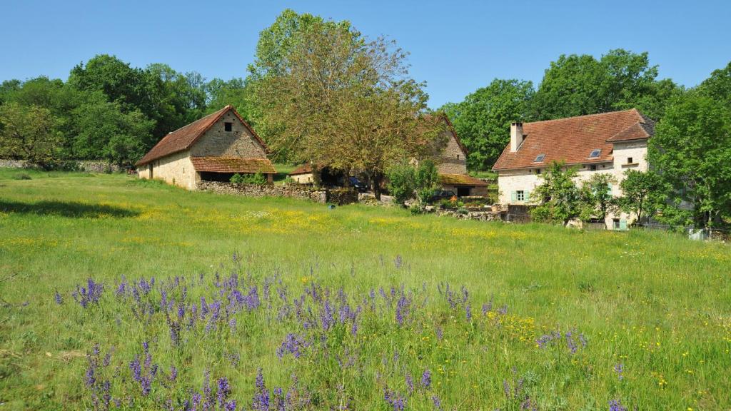 a field of purple flowers in front of a house at Gites de Combarel in Corn