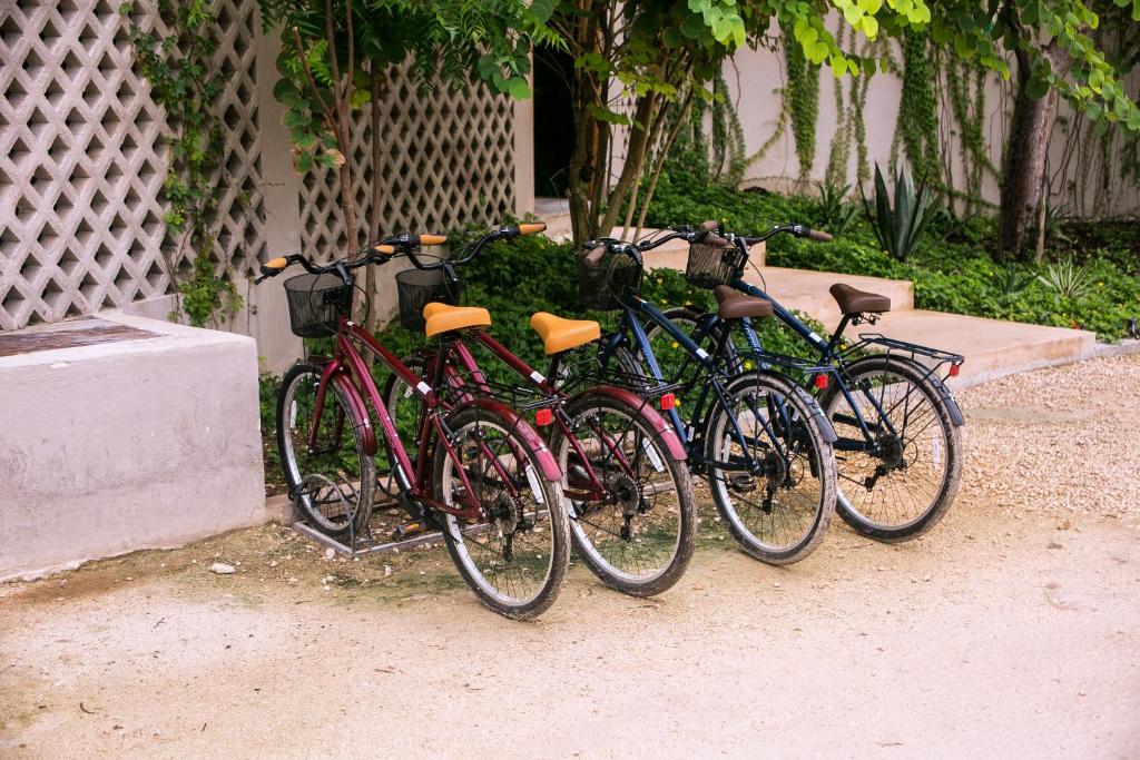 Jízda na kole v ubytování Alea Tulum nebo okolí