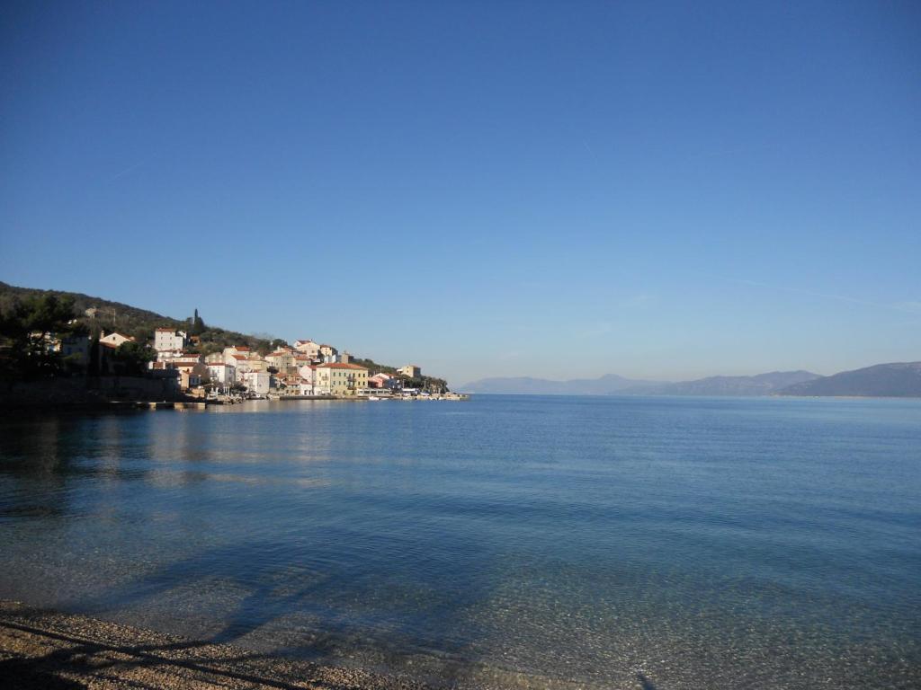 a view of a large body of water with houses at Room Dinko in Valun