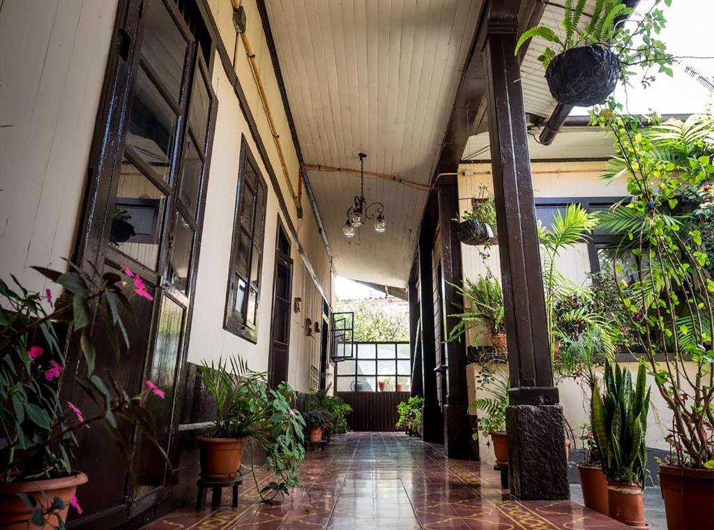 un couloir vide avec des plantes en pot dans un bâtiment dans l'établissement Casa Seibel, à Quetzaltenango