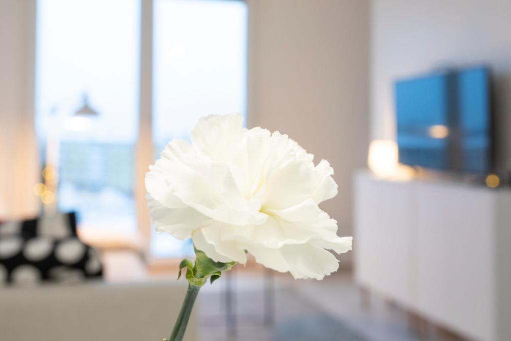 TV a/nebo společenská místnost v ubytování Vasko luxurious suites, Davvi