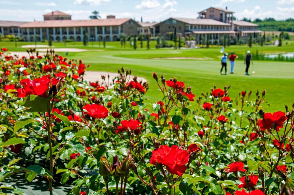 Zaplecze golfowe tego apartamentu lub w pobliżu