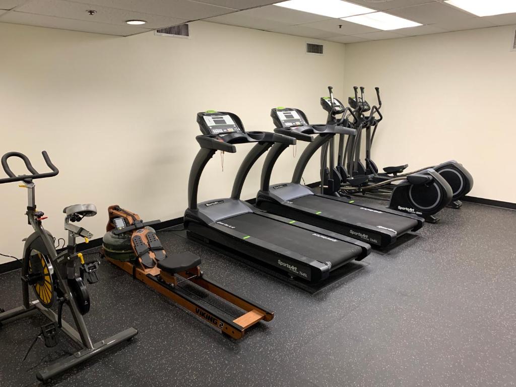Fitness centrum a/nebo fitness zařízení v ubytování Hotel Leo