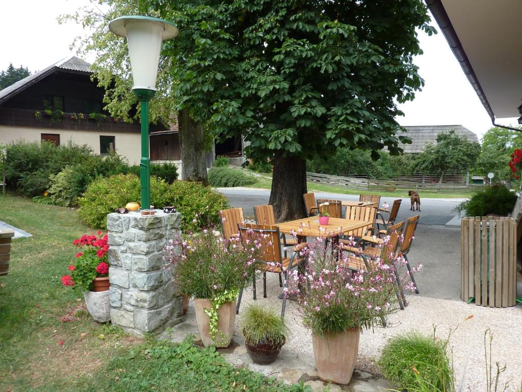 Zahrada ubytování Farm Stay Rotovnik - Plesnik