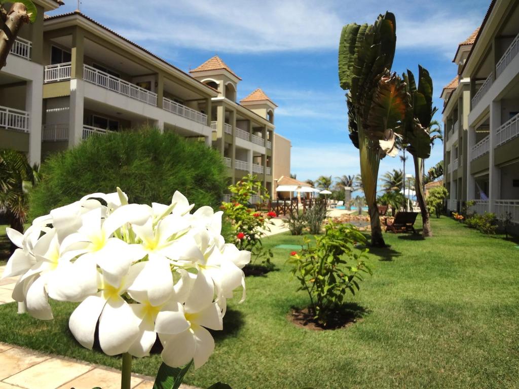 Atlantic Palace Apart-Hotel - Appartement - Begane Grond