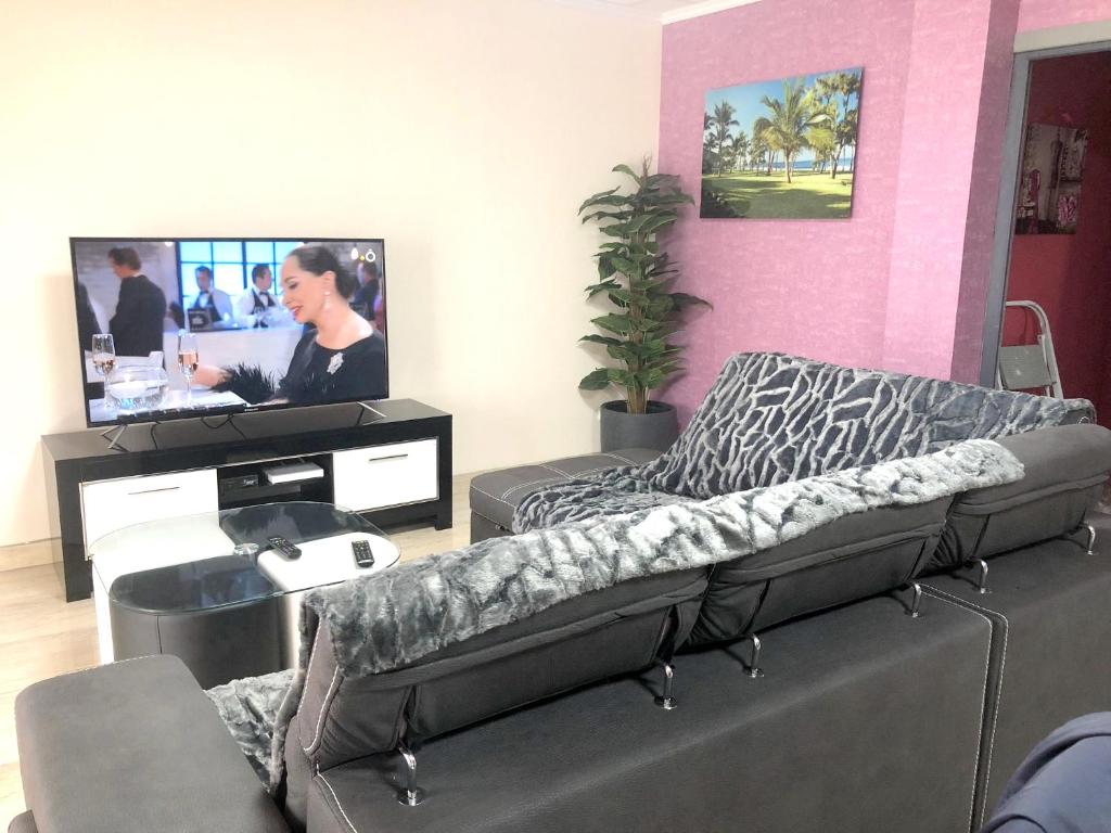 sala de estar con sofá y TV de pantalla plana en Appartement d'une chambre avec vue sur la ville terrasse amenagee et wifi a Bras Panon, en Bras-Panon
