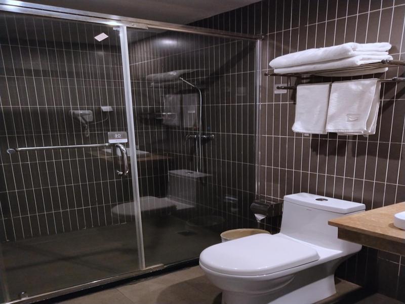 een badkamer met een douche, een toilet en een wastafel bij Thank Inn Plus Hotel Jiangxi Fuzhou Jinxi County Government Square in Fuzhou