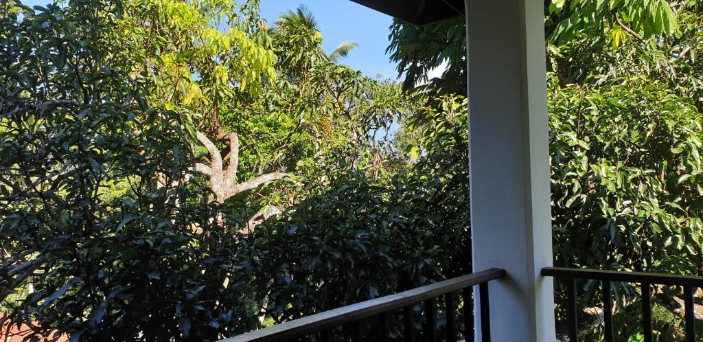 Windy Ridge Kandy - 7