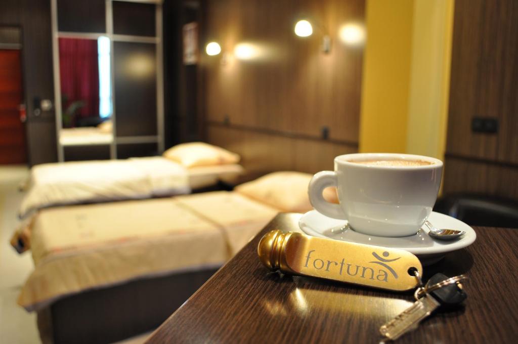 Hotel Fortuna - Jumeau