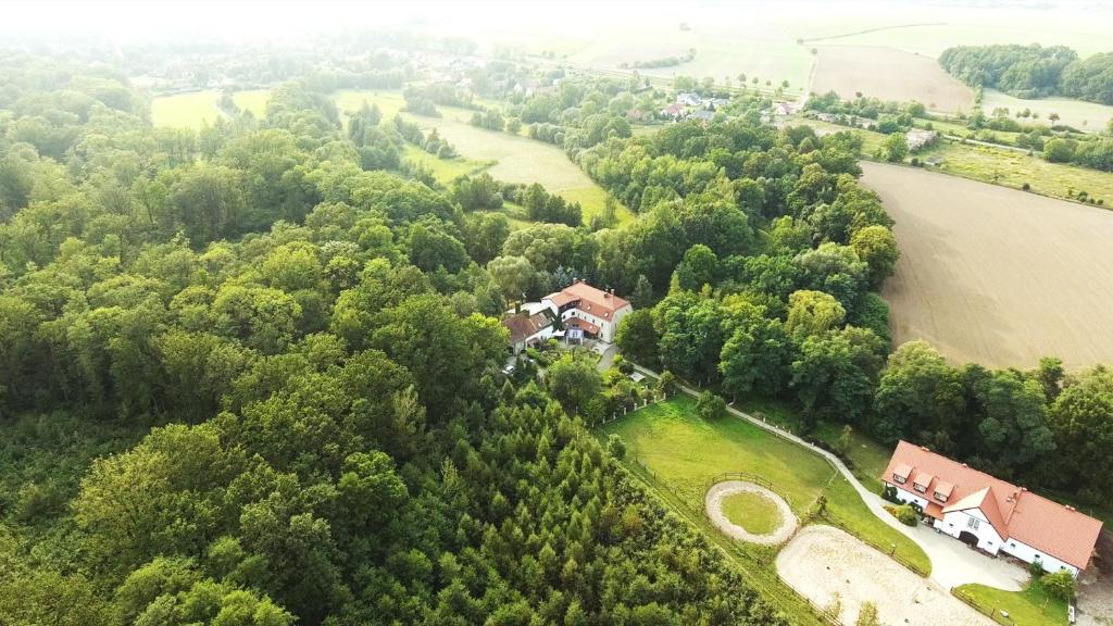 an aerial view of a house in the middle of a forest at Ślężański Młyn in Szczepanów