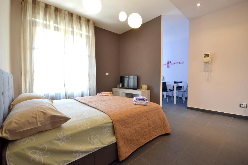 1 dormitorio con 1 cama grande y TV en One bedroom apartement with furnished balcony and wifi at Vercelli en Vercelli