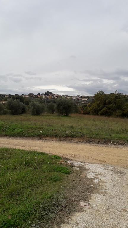 Fotografia z galérie ubytovania Agriturismo Marinella v destinácii Amelia