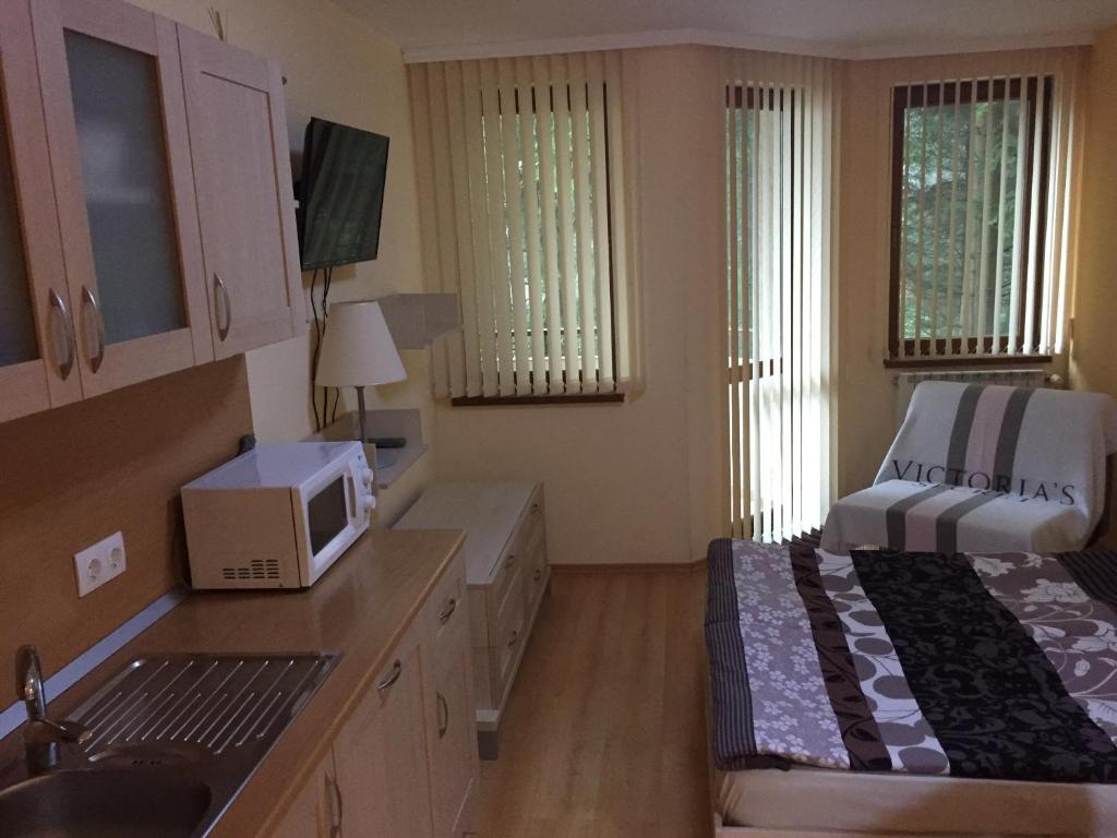 Afbeelding uit fotogalerij van Villa Park Luxury Studio in Borovets