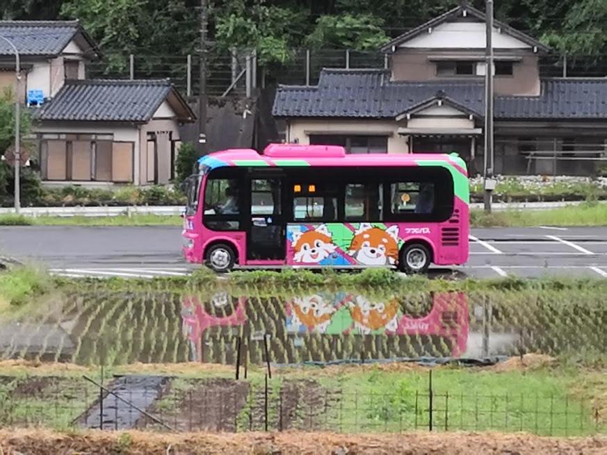 Zahrada ubytování 田舎生活体験福井県観光者向け古民家